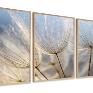Kit 3 Quadros Decorativo Flor Dente de Leão com Moldura Madeira Sala 60x40 Vinil