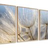 Kit 3 Quadros Decorativo Flor Dente de Leão com Moldura Madeira Sala 60x40 Vinil - 1