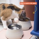 Ver imagem 5 de JOGO AMERICANO PARA PET- OIKOS