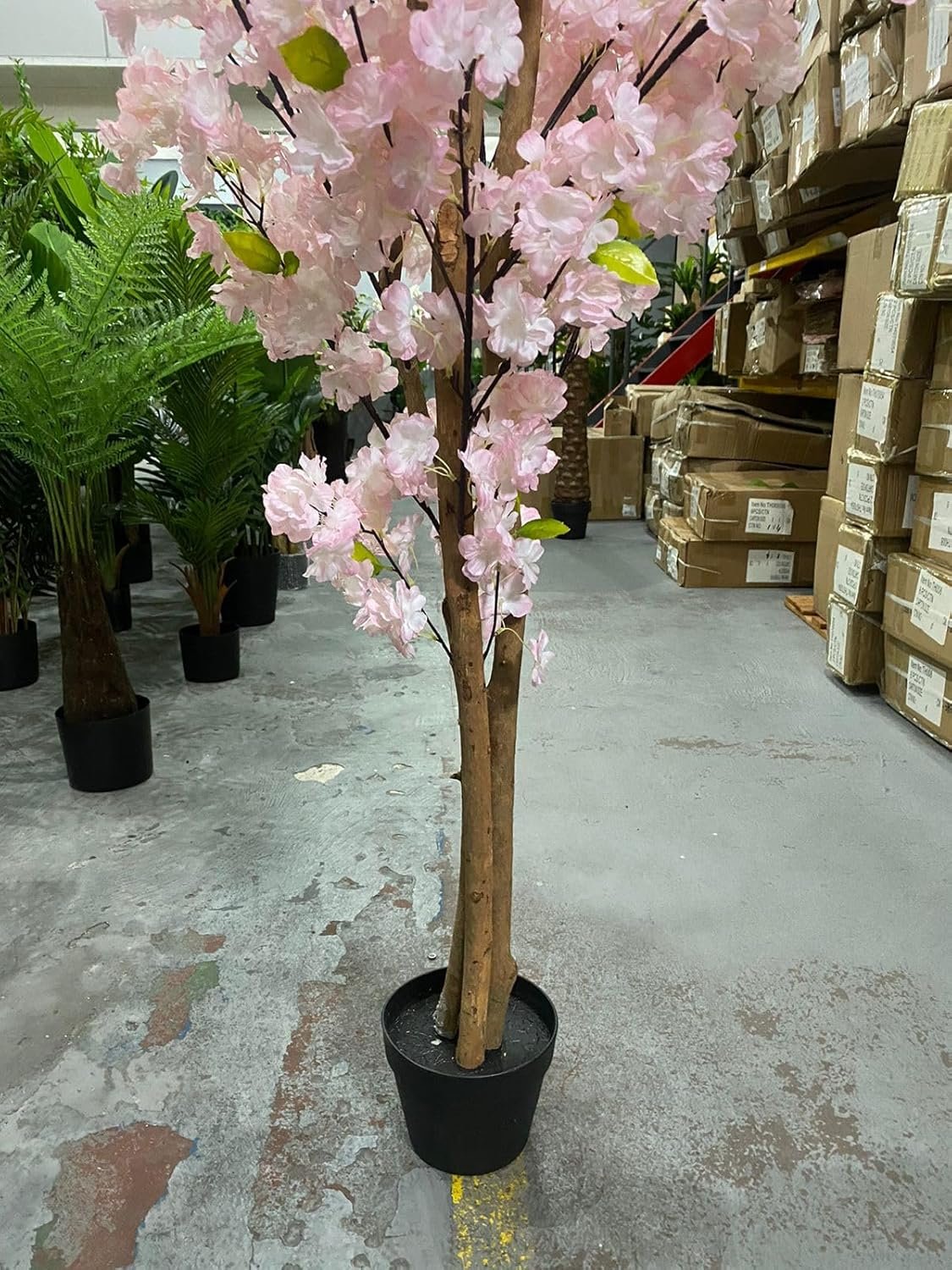 Planta Artificial Cerejeira Árvore Grande para Decoração Sala com 170cm - 4