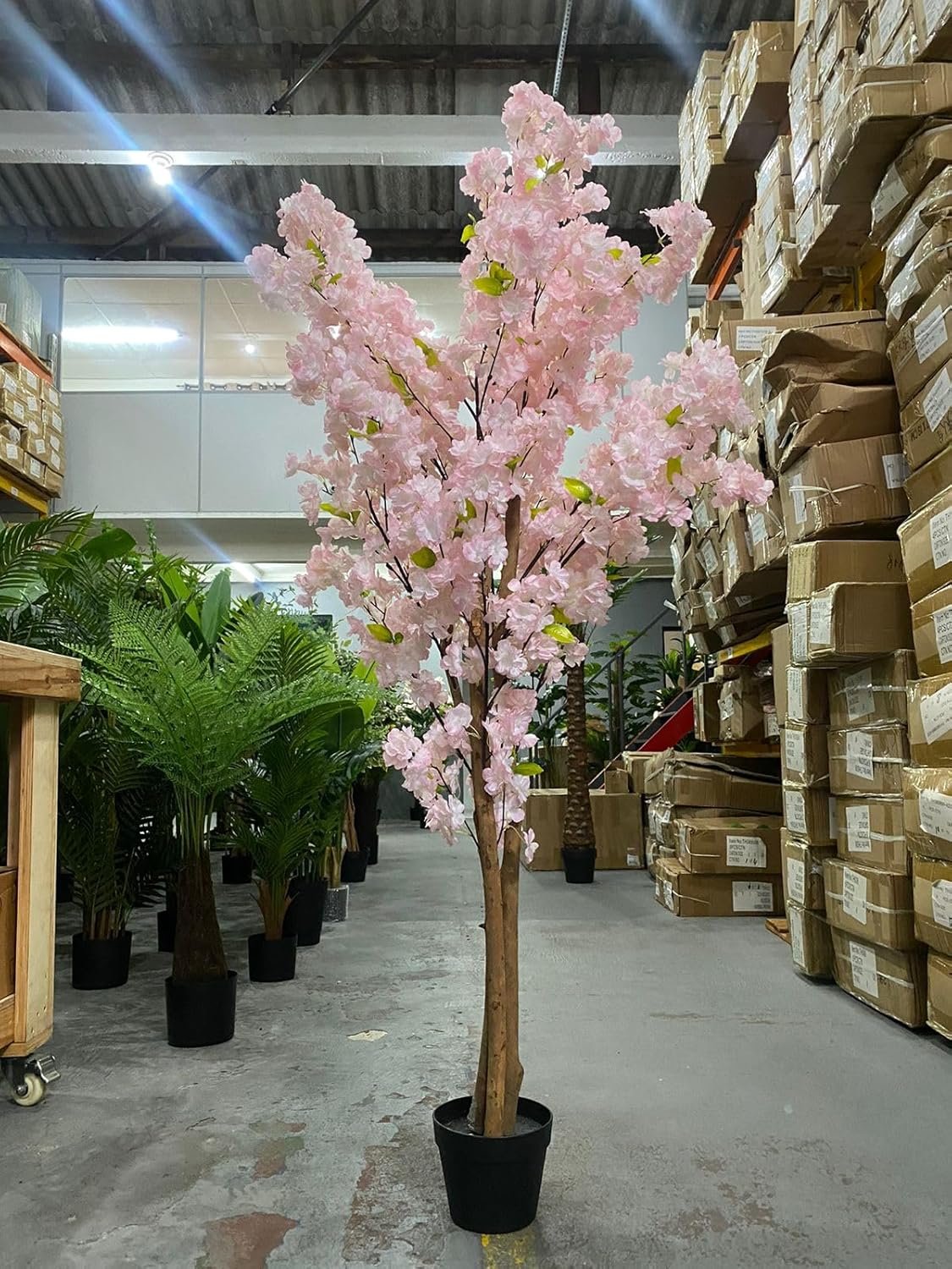 Planta Artificial Cerejeira Árvore Grande para Decoração Sala com 170cm - 3