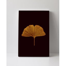 Tela em Canvas 113 - 1