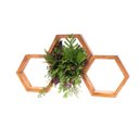 Ver imagem 2 de Nicho Colmeia Tropical