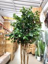 Ver imagem 4 de Árvore Artificial Realista para Sala Planta Toque Real 1.90m, Plantas Artificiais.