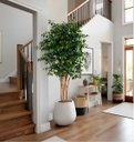 Ver imagem 2 de Árvore Artificial Realista para Sala Planta Toque Real 1.90m, Plantas Artificiais.
