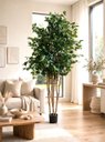 Ver imagem 1 de Árvore Artificial Realista para Sala Planta Toque Real 1.90m, Plantas Artificiais.