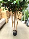 Ver mais imagens de Árvore Artificial Realista para Sala Planta Toque Real 1.90m, Plantas Artificiais.