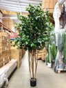 Ver imagem 6 de Árvore Artificial Realista para Sala Planta Toque Real 1.90m, Plantas Artificiais.