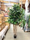 Ver imagem 7 de Árvore Artificial Realista para Sala Planta Toque Real 1.90m, Plantas Artificiais.