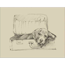 Ver imagem 1 de Stowaway Ii Canaleta 80x64cm Preta