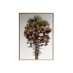 Quadro Decorativo 50x70 cm Árvore 017 com Moldura Laqueada Preto - Gran Belo - 6