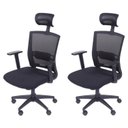 Ver imagem 1 de Kit 2 Cadeiras Escritorio Presidente Ergonômica NR17 Tela Mesh 3317 Preto
