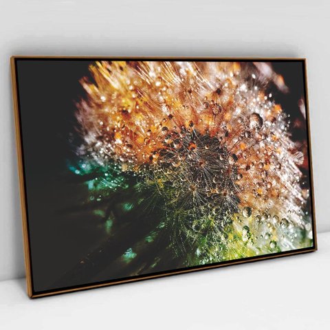 Quadro Decorativo em Canvas Gotas de Orvalho TaColado Moldura Flutuante 4,5cm Freijó 120 x 80 cm