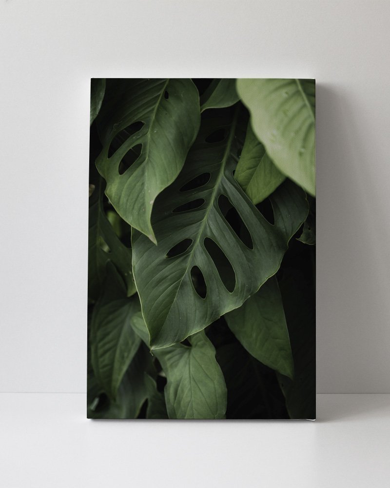 Tela em Canvas 087