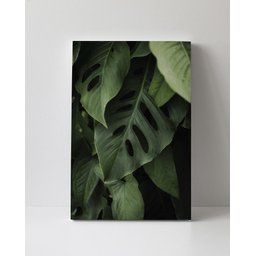 Tela em Canvas 087 - 1
