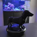 Ver imagem 4 de Salsicha Dachshund 21cm Cachorro 3d Objeto Decorativo Preto