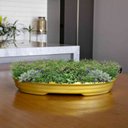 Ver imagem 2 de Vaso Bacia Decorativo Osaka Dourado P 7x46x35 cm - D’Rossi