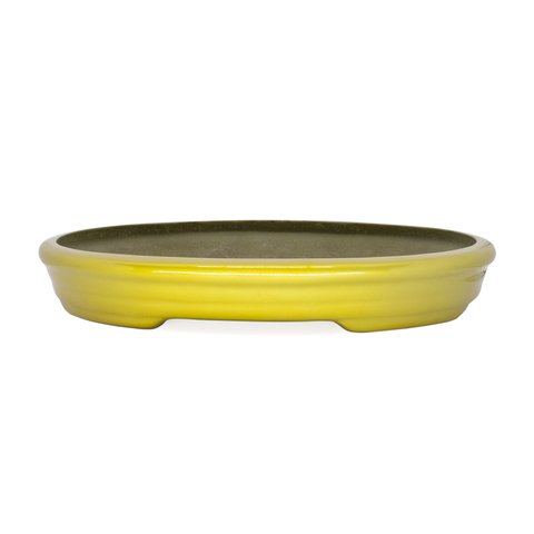 Vaso Bacia Decorativo Osaka Dourado P 7x46x35 cm - D’Rossi