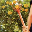 Ver imagem 5 de Colhedor de Frutas Tramontina Pequeno em Aço sem Cabo 26,5mm de Diâmetro 77819121