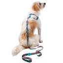 Ver imagem 5 de Conjunto Peitoral e Guia Tamanho Gg Verde Savana Toh Dog