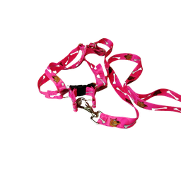 Conjunto Peitoral Ajustável RBPet com Guia - Cães de Médio Porte - 1