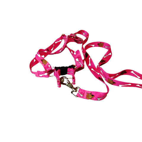 Conjunto Peitoral Ajustável RBPet com Guia - Cães de Médio Porte