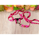 Ver imagem 2 de Conjunto Peitoral Ajustável RBPet com Guia - Cães de Médio Porte