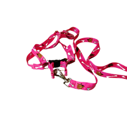 Conjunto Peitoral Ajustável RBPet com Guia - Cães de Médio Porte - 3