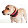 COLAR CERVICAL PARA CÃES Pet Med - 5