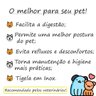 Comedouro Elevado Bebedouro Para Gatos Cachorro Pequeno B3P1 - 4