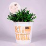 BALDE CACHEPOT E PLACA DE JARDIM ESSENCIA ALTO ASTRAL - 1