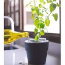 Ver imagem 3 de Kit 9 Placas Identificadoras De Vasos Plantas Hortas Jardim