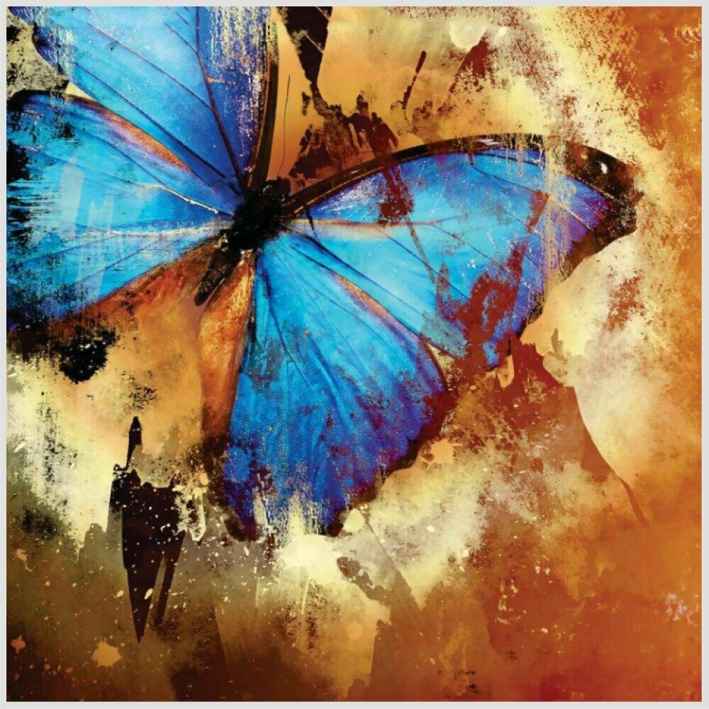 Quadro decorativo A4 BORBOLETA, natureza, butterfly, VIDA