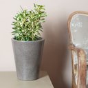 Ver imagem 2 de Vaso Cônico Aldora 26x18cm