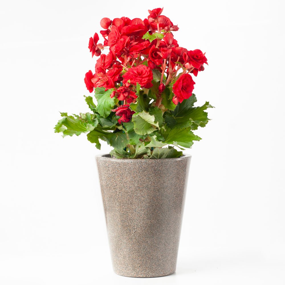 Vaso Cônico Aldora 26x18cm - 3
