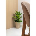 Ver imagem 2 de Vaso Cônico Aldora 26x18cm