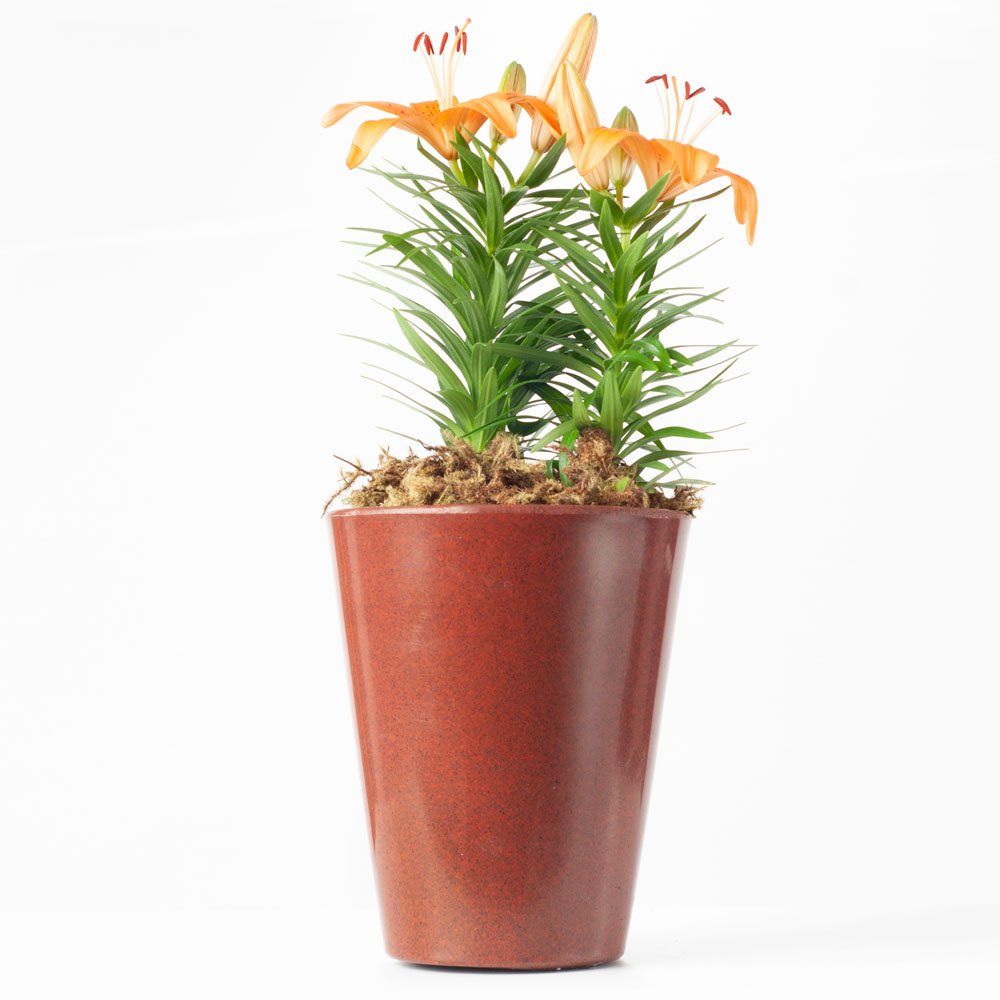 Vaso Cônico Aldora 26x18cm - 2
