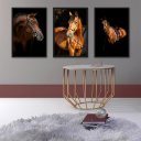 Ver imagem 1 de Kit 3 Quadros Fotografias Cavalos 24x18cm:madeira Preta