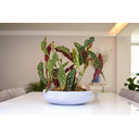 Ver imagem 2 de Bacia Safira 10x35cm