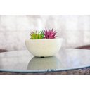 Ver imagem 2 de Bacia Siena 12x26cm