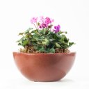 Ver imagem 2 de Bacia Siena 12x26cm