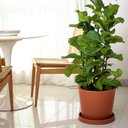 Ver imagem 2 de Vaso Reto Badi 28x34cm