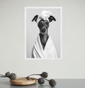 Ver imagem 1 de Quadro para Banheiro Cachorrinha de Roupão 45x34cm:moldura Branca