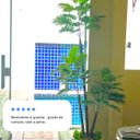 Ver imagem 3 de Kit 2 Arvore Coqueiro Palmeira Artificial sem Vaso Decoração