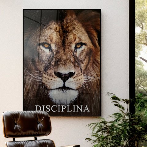 Quadro Motivacional Disciplina em Moldura Caixa Tacolado Moldura Trad 1cm Madeira Escura com Vidro 3