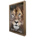 Ver imagem 4 de Quadro Motivacional Disciplina em Moldura Caixa Tacolado Moldura Trad 1cm Madeira Escura com Vidro 3