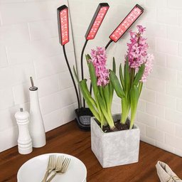 Luminaria Lampada de Cultivo Plantas Interno com Temporizador Led Ultravioleta Grow Indoor Estufa Uv - 6
