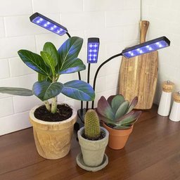 Luminaria Lampada de Cultivo Plantas Interno com Temporizador Led Ultravioleta Grow Indoor Estufa Uv - 7