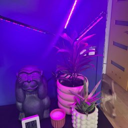 Luminaria Lampada de Cultivo Plantas Interno com Temporizador Led Ultravioleta Grow Indoor Estufa Uv - 8