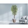 Planta Artificial Ficus Verde Creme 2,10m kit + Vaso Trapezio D. Grafiato Bege 40cm - 2